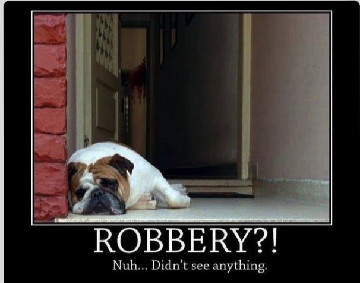 robber2