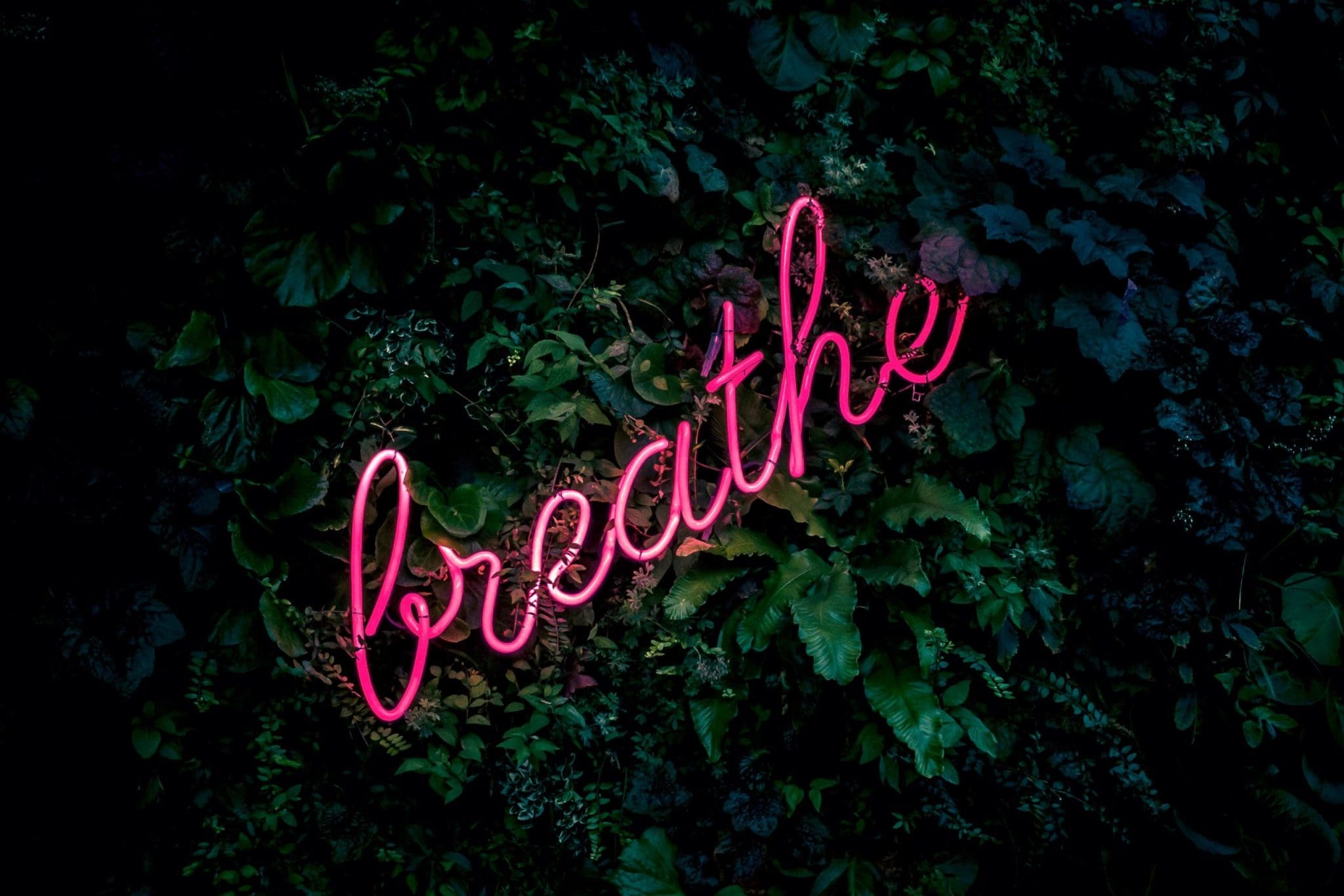 Stop. Breathe. Start where you are.